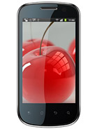 A19 product photo