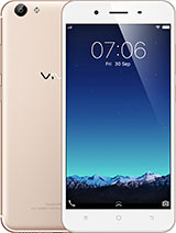 Y65 product photo
